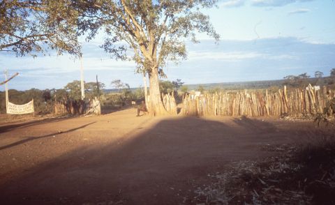 A camp for displaced persons as a result of South Arican incursions during the war. DW worked in partnership with the Angola Secretariat of State for Social Affairs (SEAS) and OMA (Angola women's organization) on the project.