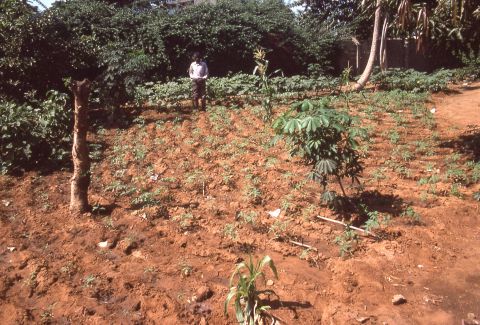 DW worked in partnership with the Angola Secretariat of State for Social Affairs (SEAS) on this workshop.
