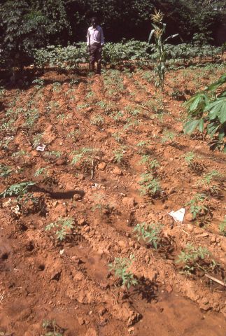 DW worked in partnership with the Angola Secretariat of State for Social Affairs (SEAS) on this workshop.