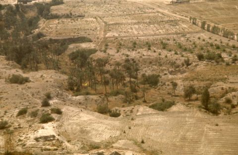 Part of DW's Study for Developing Indigenous Building in Earthquake Regions in Iran.