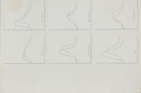 Cairo building research station survey notes.
