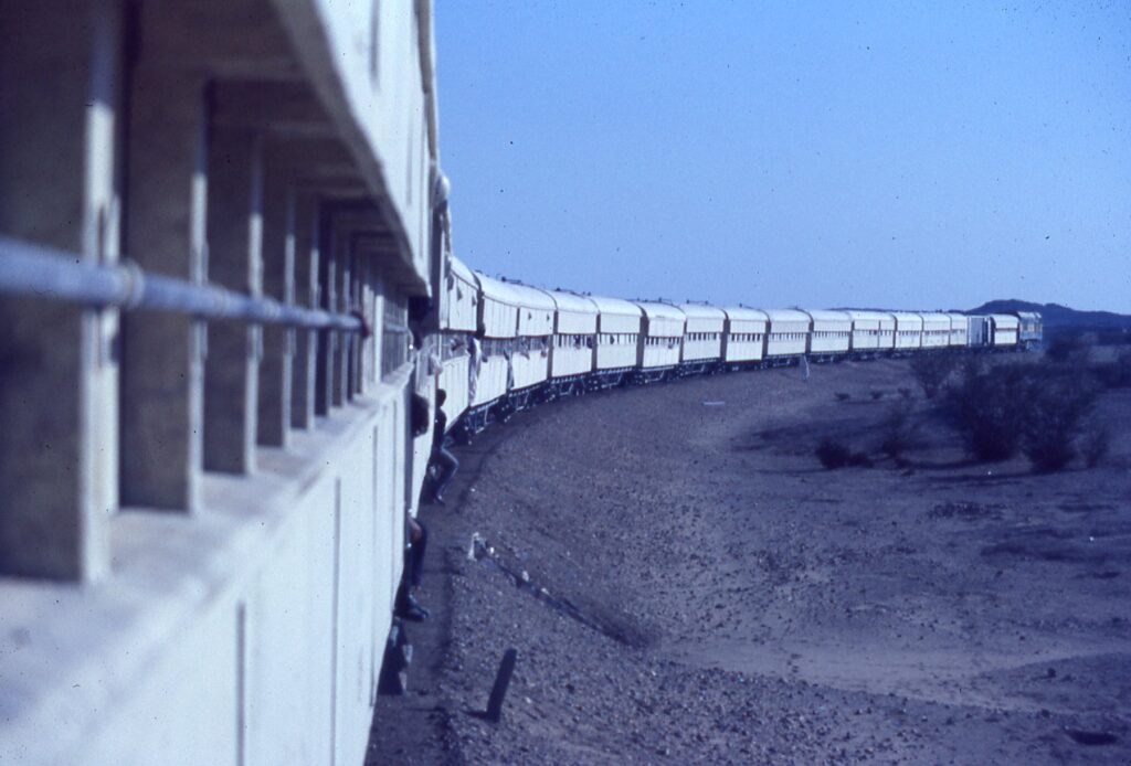 DWC1962