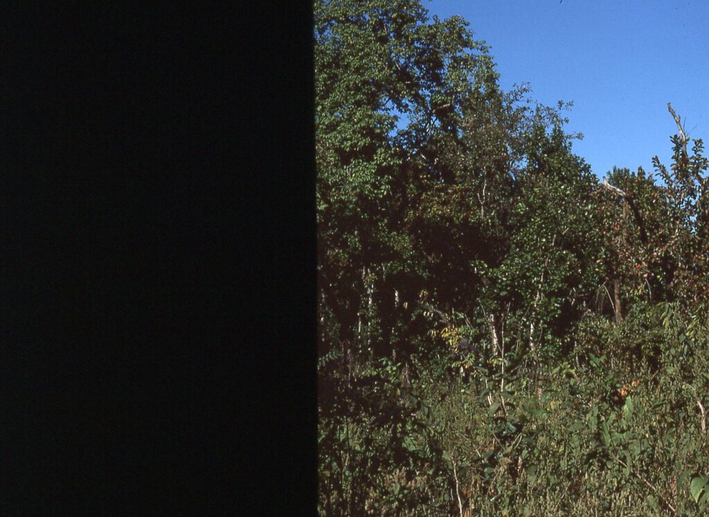 DWC4418