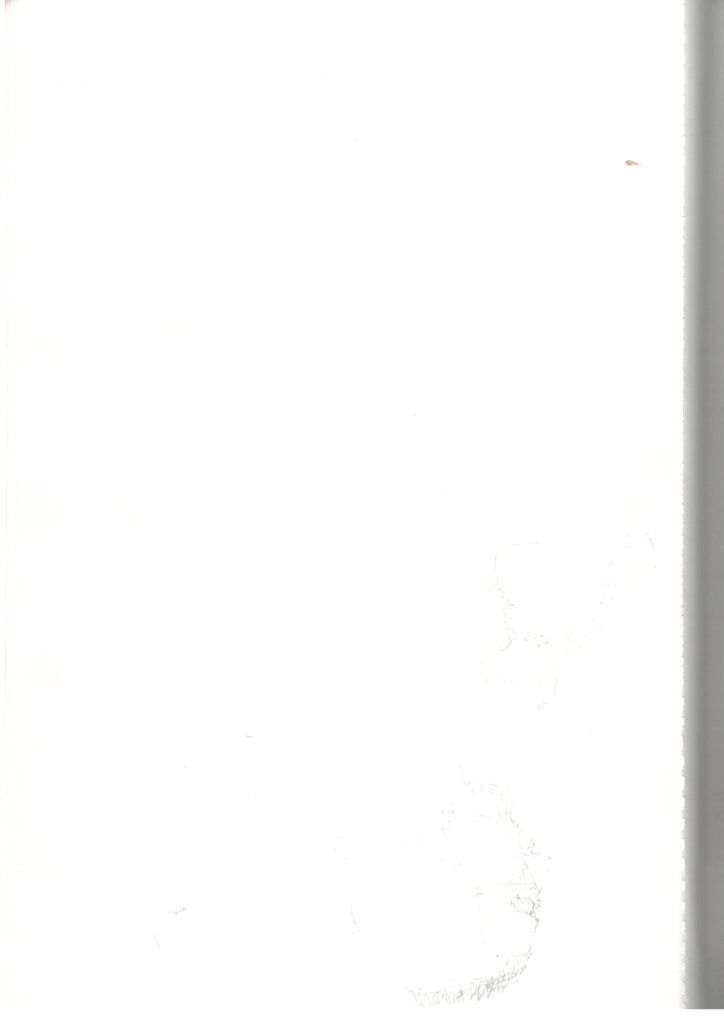 DWFJN06